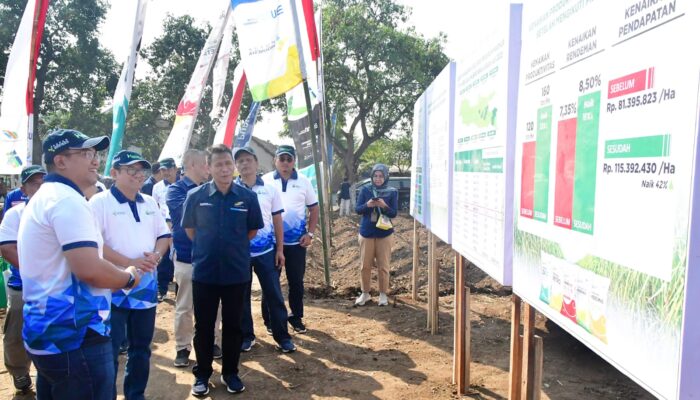 Kolaborasi Program Makmur Petrokimia Gresik Sukseskan Panen Petani Tebu