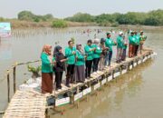 Tanam Ribuan Mangrove di Kalimireng Manyar Gresik,  PT Cargill – ITS Edukasi Rekreasi Warga