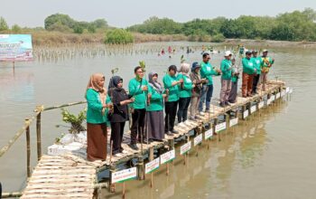 WhatsApp Image 2024 07 25 at 15.24.59 - Tanam Ribuan Mangrove di Kalimireng Manyar Gresik, PT Cargill - ITS Edukasi Rekreasi Warga