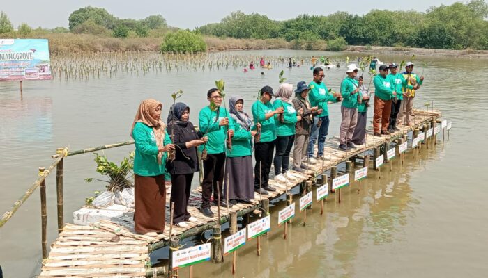 Tanam Ribuan Mangrove di Kalimireng Manyar Gresik,  PT Cargill – ITS Edukasi Rekreasi Warga