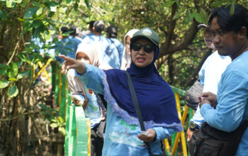 PT Smelting-Mahasiswa dan Pokmawas Pangkah Kulon Gresik Tanam 1.000 Bibit Mangrove