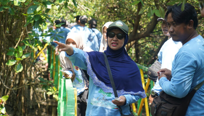 PT Smelting-Mahasiswa dan Pokmawas Pangkah Kulon Gresik Tanam 1.000 Bibit Mangrove